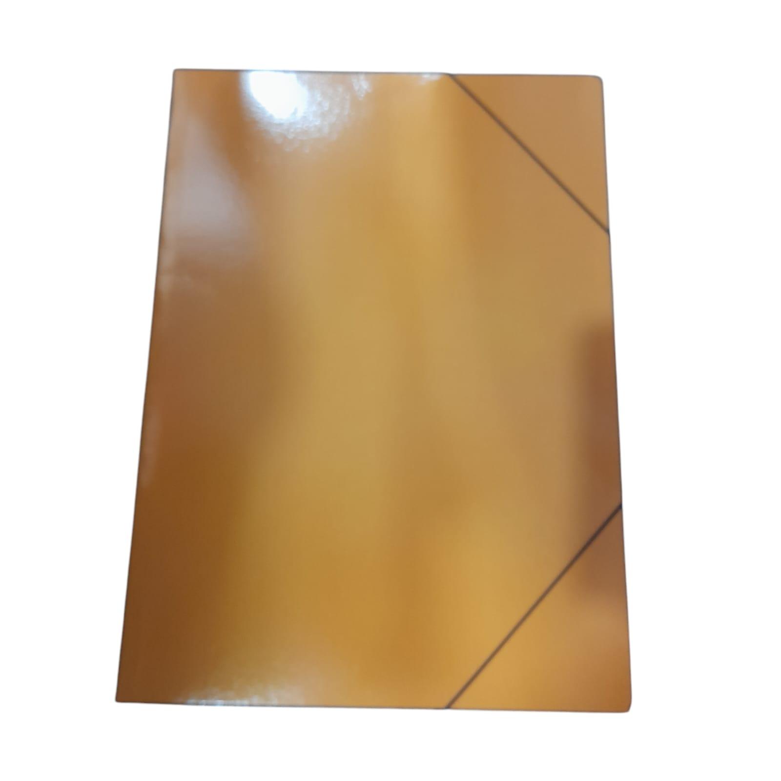 CARPETA N*6 3 SOLAPAS CON ELASTICO